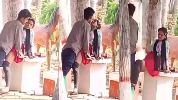 Lovers Fucking In Park